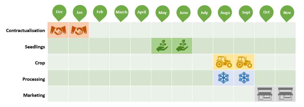 Calendrier mogettes anglais